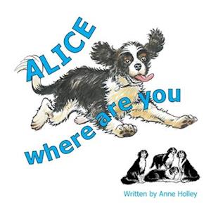 Alice, Where are You?