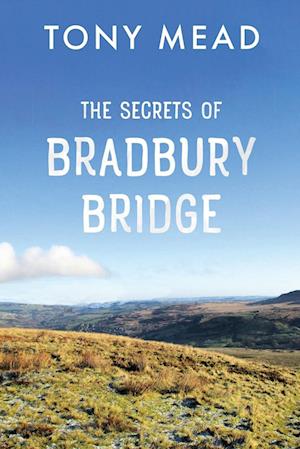 The Secrets of Bradbury Bridge