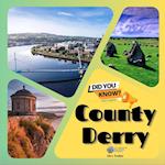 County Derry