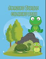 Amazing Turtle coloring book