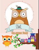 Owl Coloring Book