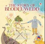 The Story of Blodeuwedd