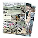 Angela Harding: Wildlife Set of 3 Standard Notebooks