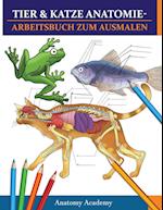 Tier & Katze Anatomie-Arbeitsbuch zum Ausmalen