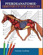 Pferdeanatomie-Arbeitsbuch zum Ausmalen