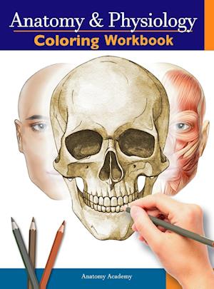 Anatomy and Physiology Coloring Workbook