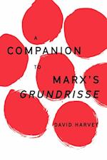 Companion to Marx's Grundrisse