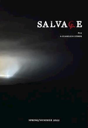 Salvage #12