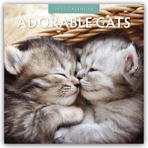 Adorable Cats 2025 Square Wall Calendar