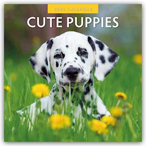 Cute Puppies - Niedliche Hundewelpen 2025 - 16-Monatskalender