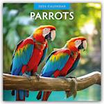 Parrots - Papageien 2025 - 16-Monatskalender