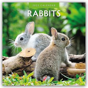 Rabbits 2025 Square Wall Calendar