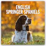 English Springer Spaniels 2025 Square Wall Calendar