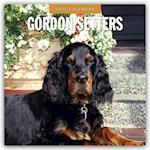 Gordon Setters 2025 Square Wall Calendars