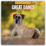 Great Danes 2025 Square Wall Calendar