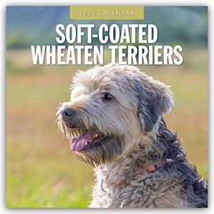 Soft-Coated Wheaten Terriers 2025 Square Wall Calendar