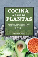 COCINA A BASE DE PLANTAS 2022