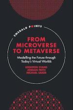 From Microverse to Metaverse