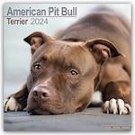 American Pit Bull Terrier Calendar 2024  Square Dog Breed Wall Calendar - 16 Month