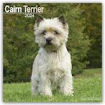 Cairn Terrier Calendar 2024  Square Dog Breed Wall Calendar - 16 Month