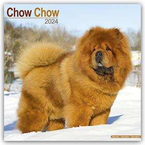 Chow Chow Calendar 2024  Square Dog Breed Wall Calendar - 16 Month