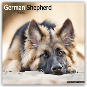 Få German Shepherd Calendar 2024 Square Dog Breed Wall Calendar - 16