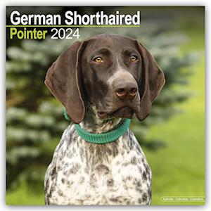 German Shorthair Pointer Calendar 2024  Square Dog Breed Wall Calendar - 16 Month