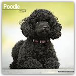Poodle Calendar 2024  Square Dog Breed Wall Calendar - 16 Month
