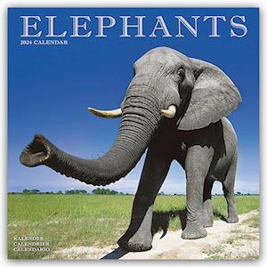 Elephants Calendar 2024  Square Wildlife Safari Wall Calendar - 16 Month