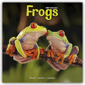 Frogs Calendar 2024  Square Animal Wall Calendar - 16 Month