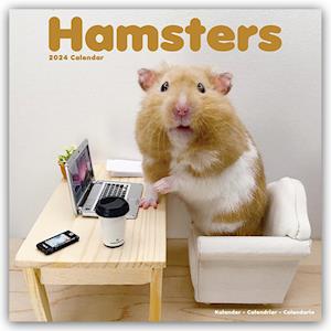Hamsters Calendar 2024  Square Animal Wall Calendar - 16 Month