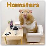 Hamsters Calendar 2024  Square Animal Wall Calendar - 16 Month