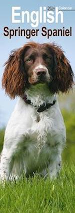 English Springer Spaniel  Slim Calendar 2024  Dog Breed Slimline Calendar - 12 Month