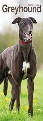 Greyhound Slim Calendar 2024  Dog Breed Slimline Calendar - 12 Month