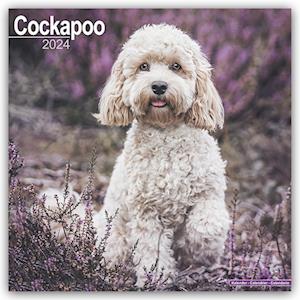 Cockapoo Calendar 2024  Square Dog Breed Wall Calendar - 16 Month