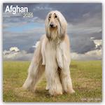 Afghan Calendar 2025 Square Dog Breed Wall Calendar - 16 Month