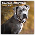 American Staffordshire Terrier Calendar 2025 Square Dog Breed Wall Calendar - 16 Month