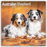 Australian Shepherd Calendar 2025 Square Dog Breed Wall Calendar - 16 Month