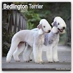 Bedlington Terrier Calendar 2025 Square Dog Breed Wall Calendar - 16 Month