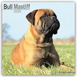 Bull Mastiff Calendar 2025 Square Dog Breed Wall Calendar - 16 Month