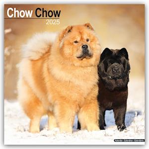 Chow Chow Calendar 2025 Square Dog Breed Wall Calendar - 16 Month