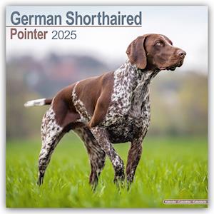 German Shorthair Pointer Calendar 2025 Square Dog Breed Wall Calendar - 16 Month