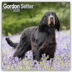 Gordon Setter Calendar 2025 Square Dog Breed Wall Calendar - 16 Month