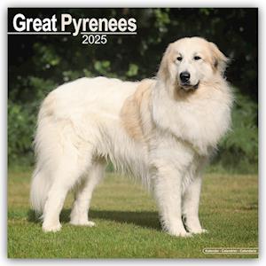 Great Pyrenees - Pyrenäenhunde 2025 - 16-Monatskalender