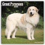 Great Pyrenees - Pyrenäenhunde 2025 - 16-Monatskalender