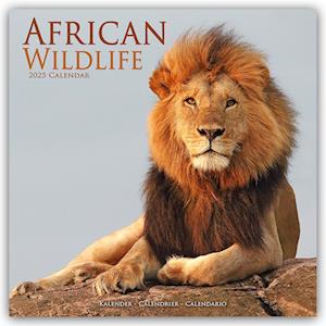 African Wildlife Calendar 2025 Square Wildlife Safari Wall Calendar - 16 Month