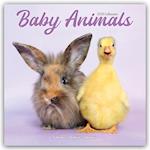 Baby Animals Calendar 2025 Square Animal Wall Calendar - 16 Month