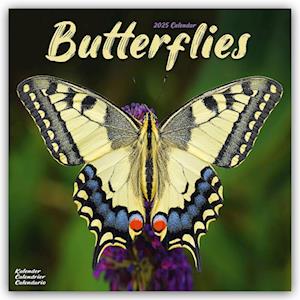 Butterflies Calendar 2025 Square Butterfly Wall Calendar - 16 Month