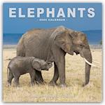 Elephants Calendar 2025 Square Wildlife Safari Wall Calendar - 16 Month