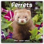 Ferrets Calendar 2025 Square Animal Wall Calendar - 16 Month